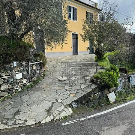 026 Amandolina Colline E Mare Levanto